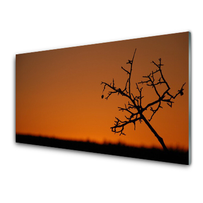 Transparenţă Conturul Unui Copac Apus De Soare