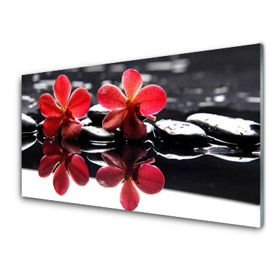 Transparenţă Flori Roșii Reflectate În Apă