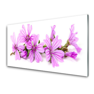 Transparenţă Flori Roz