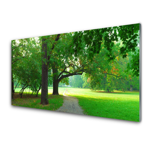 Transparenţă Calea In Parc