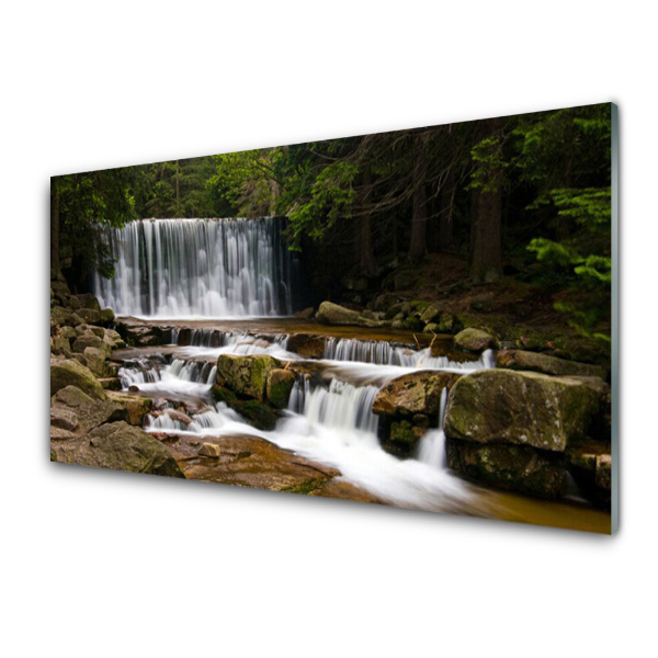 Transparenţă Cascada În Pădure