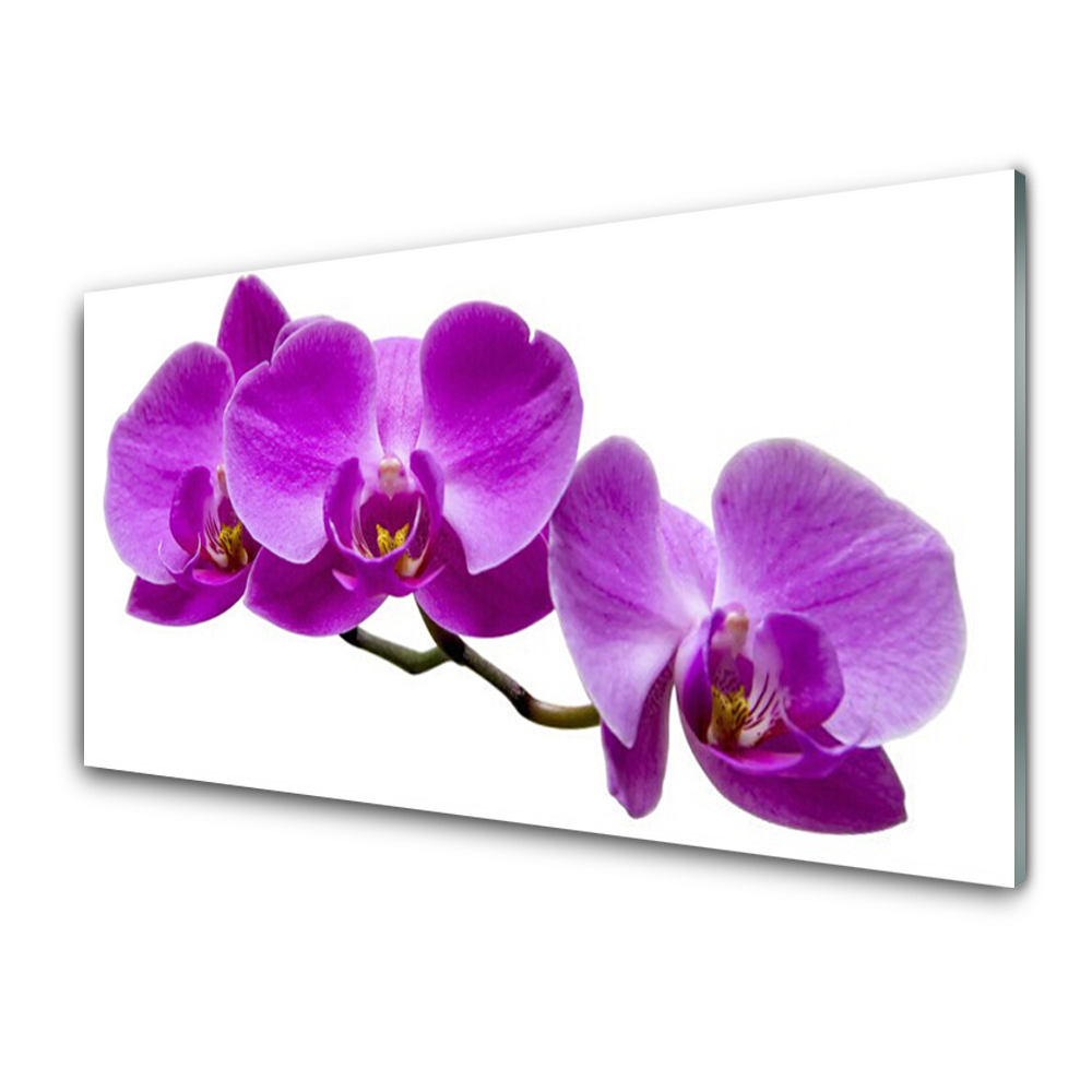 Transparenţă Trei Orhidee Violete