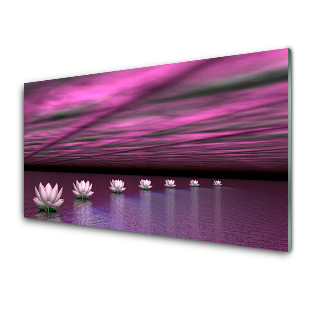 Transparenţă Flori De Lotus Violet Fundal Violet
