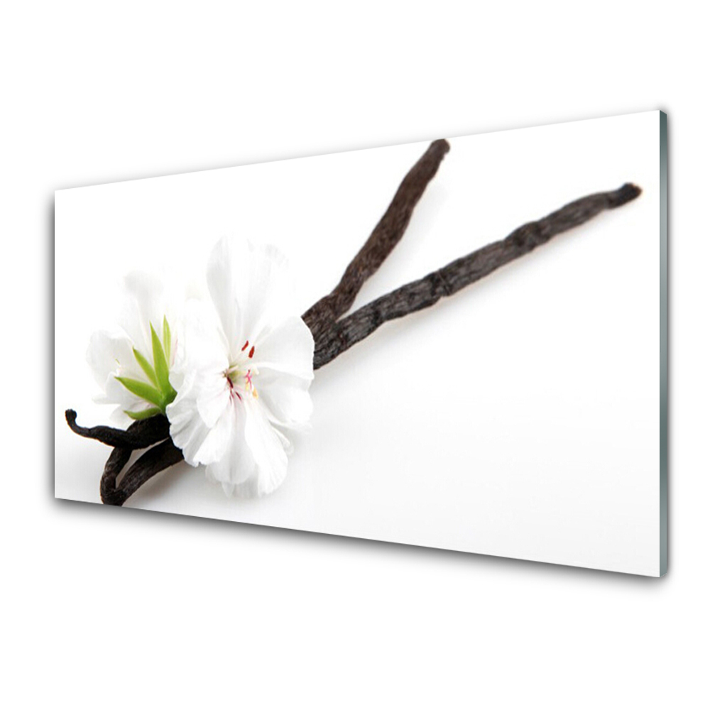 Transparenţă Floare De Vanilie