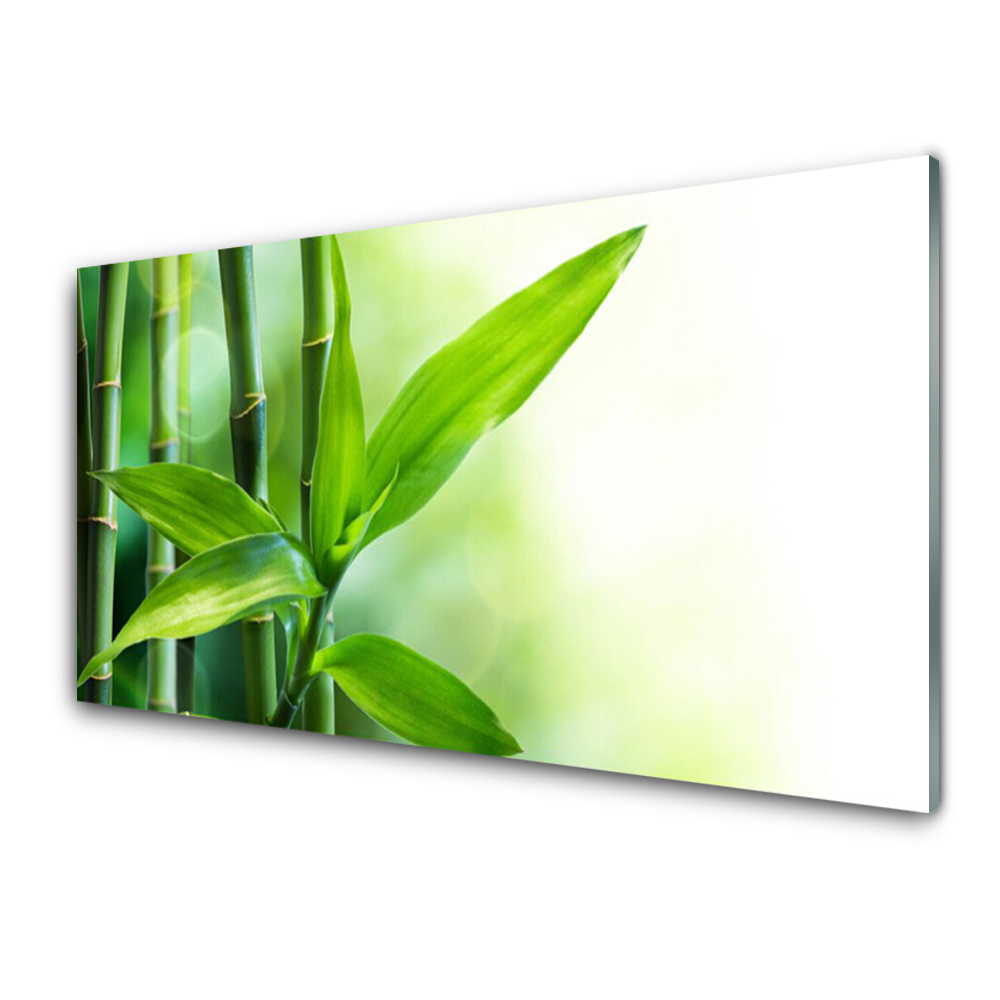Transparenţă Frunze De Bambus Plant Natura