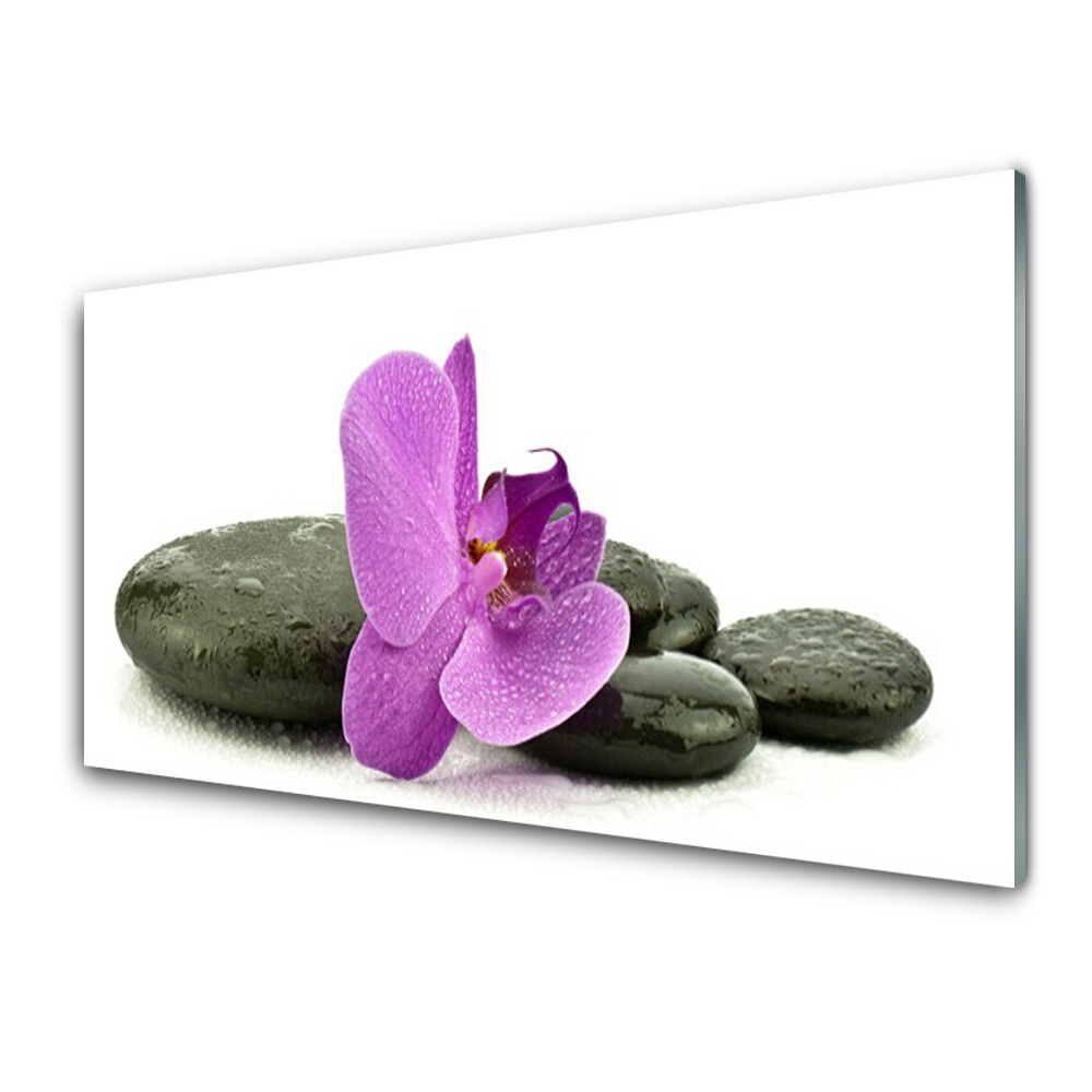 Transparenţă Floare Orhidee Orhidee Pietre