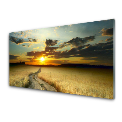 Transparenţă Peisaj De Câmp De Cale