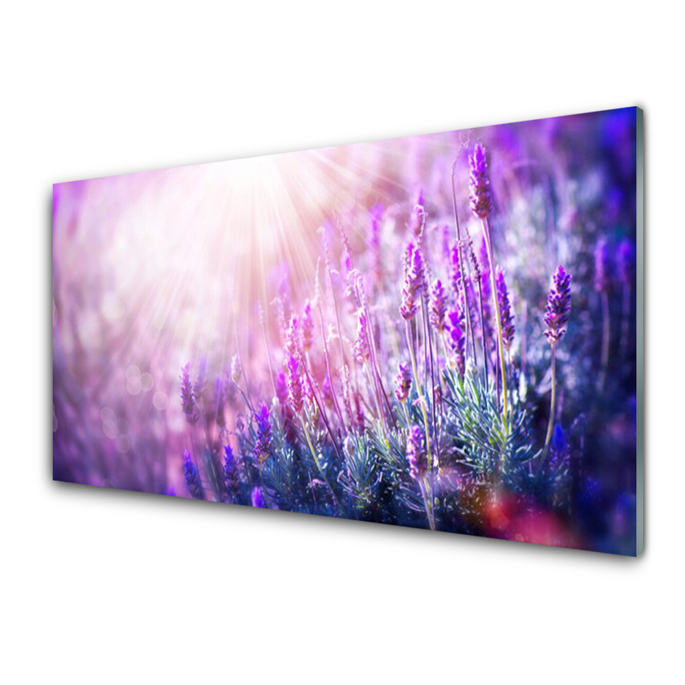 Transparenţă Flori Violete De Lavandă