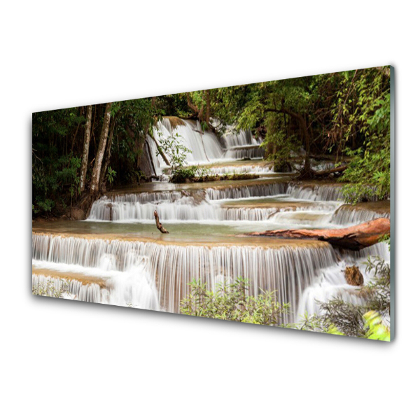 Transparenţă Cascada În Cascadă În Pădure