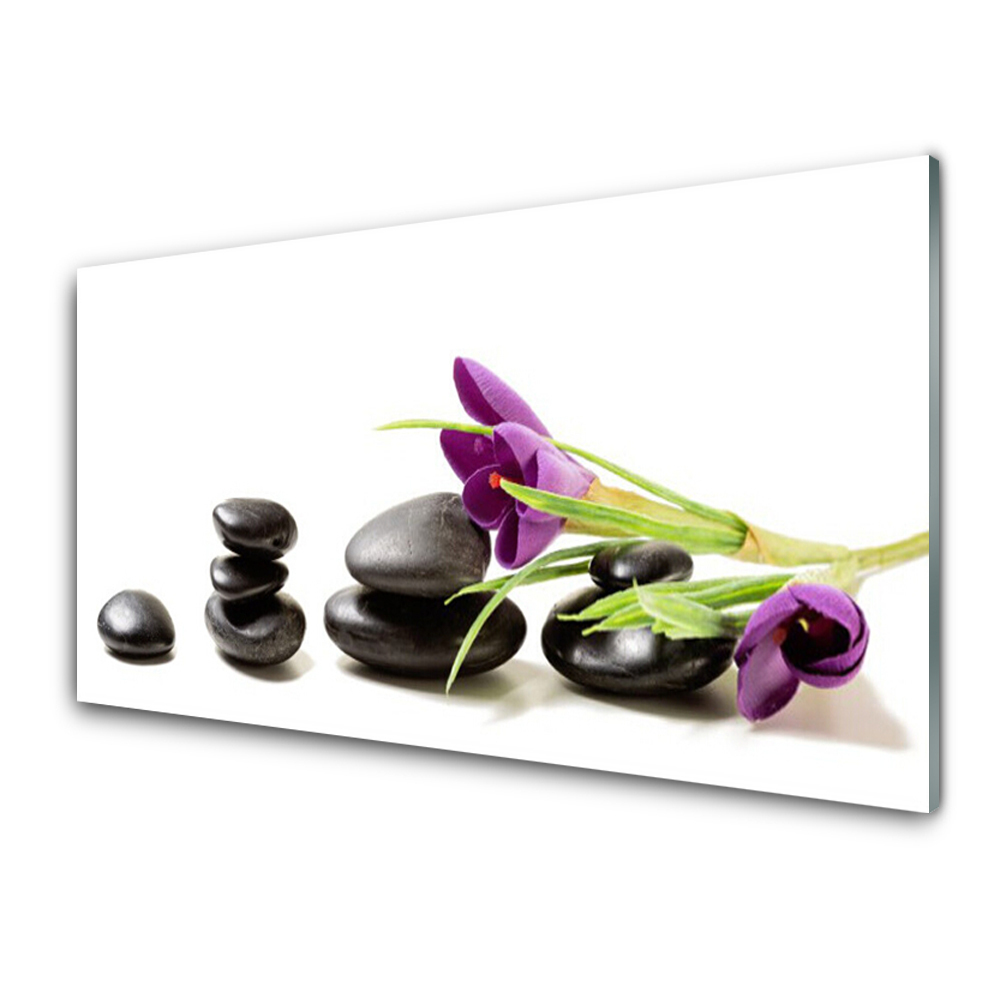 Transparenţă Crocus Violet Pe Pietre