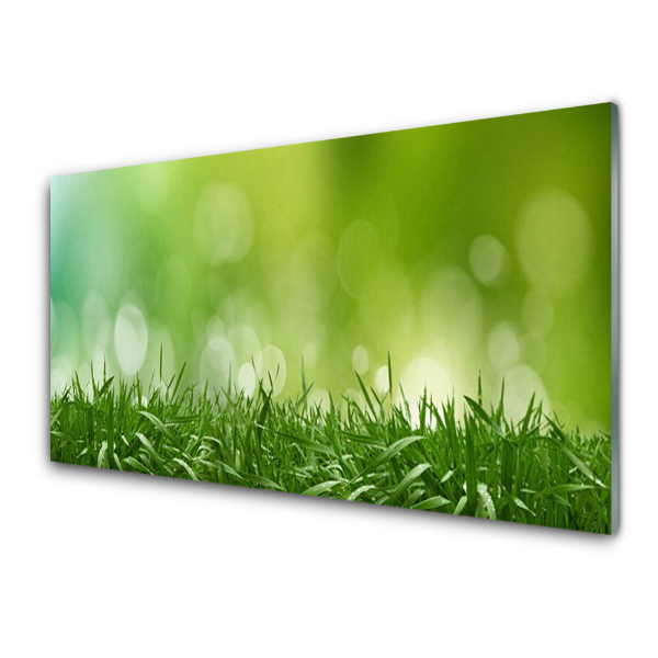 Transparenţă Iarba Plant Natura