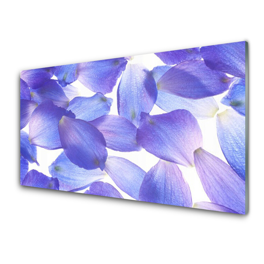 Transparenţă Petale De Flori Violet Natura
