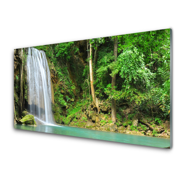 Transparenţă Cascada Repezită În Pădure