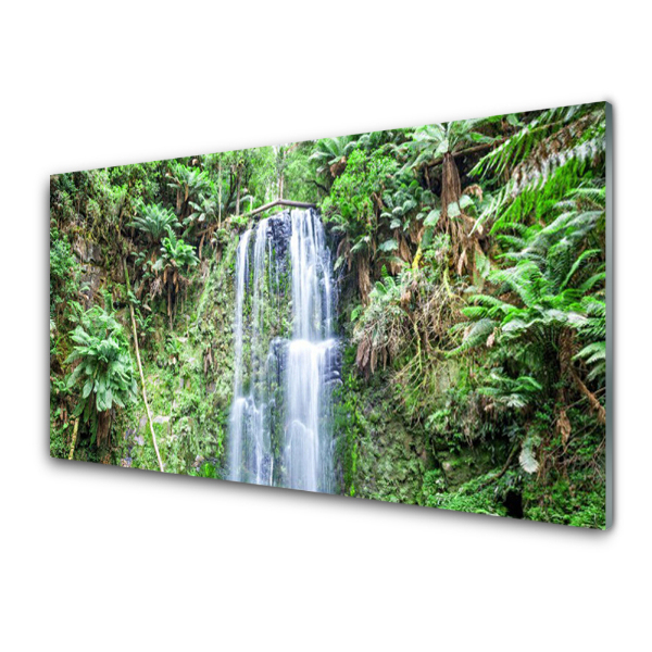 Transparenţă Cascada Adâncă În Junglă