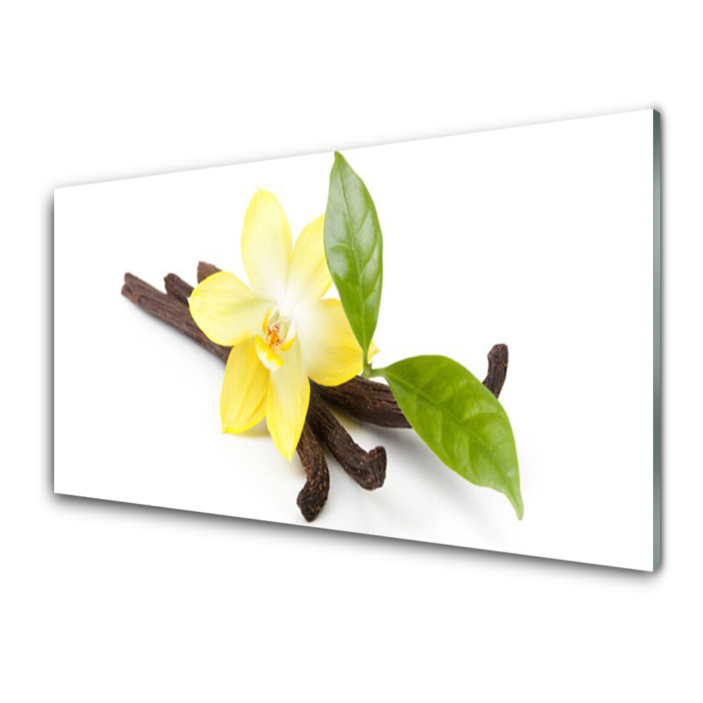 Transparenţă Floare Frunze De Vanilie