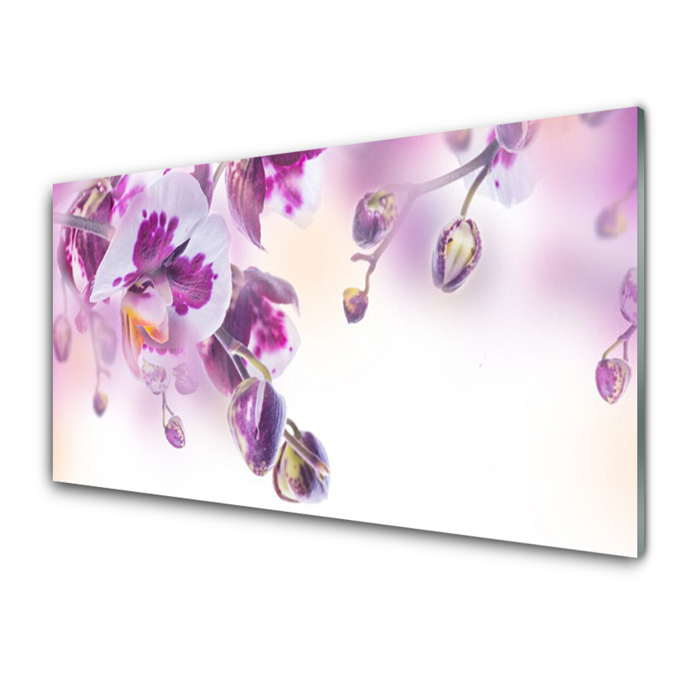 Transparenţă Fundal De Orhidee Violet