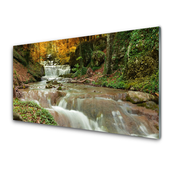 Transparenţă Cascada În Pădurea Naturală