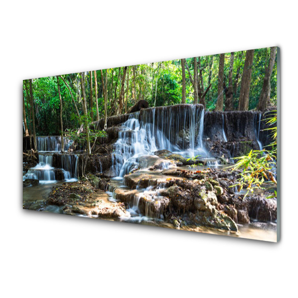 Transparenţă Cascada În Pădure