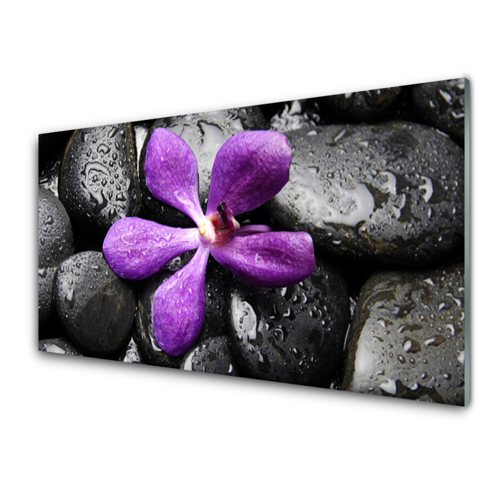 Transparenţă Pietre De Flori Violete