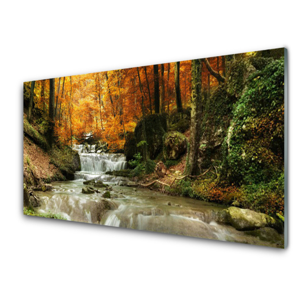 Transparenţă Cascada În Pădurea De Toamnă