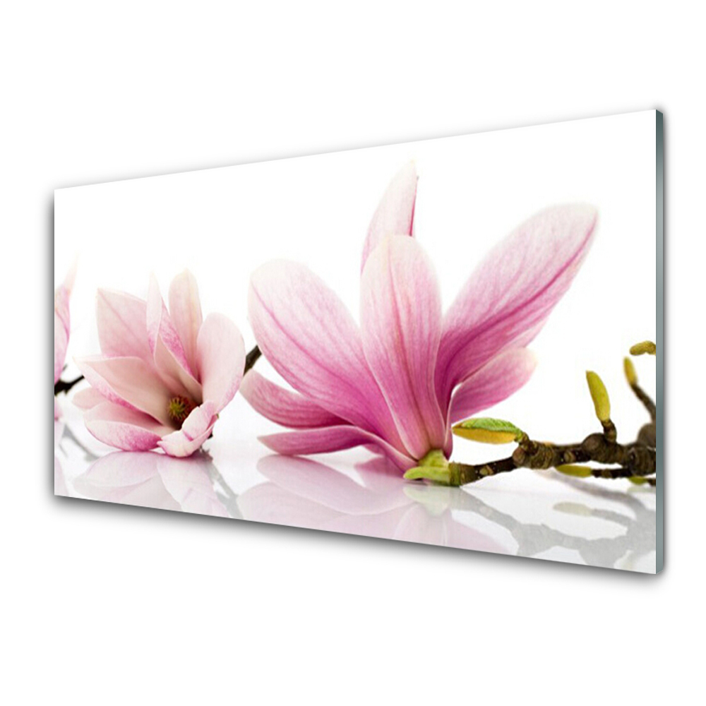 Transparenţă Flori Roz De Magnolie