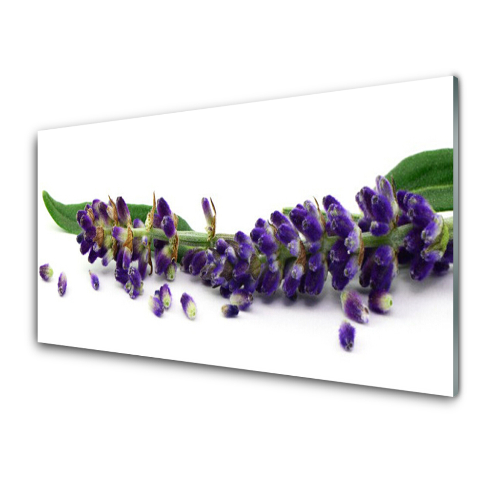 Transparenţă Natură Moartă De Lavandă