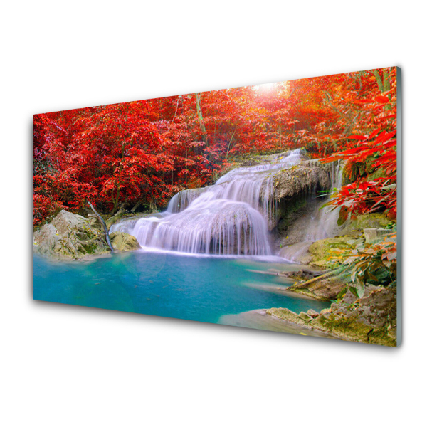 Transparenţă Cascada De Toamnă În Pădure