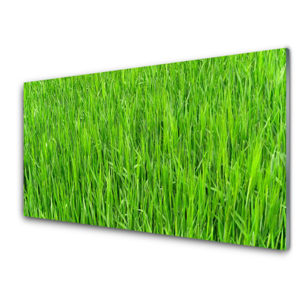 Transparenţă Gazon De Iarbă Verde