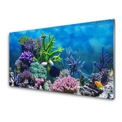 Transparenţă Acvariu De Pești Anemone Și Corali