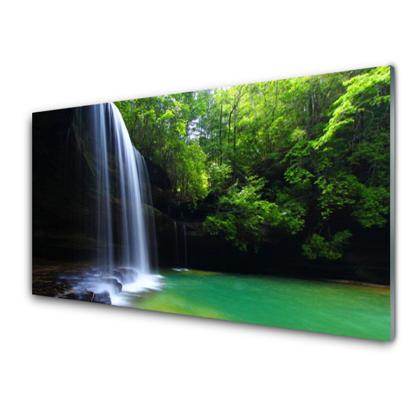 Transparenţă Cascada Printre Copaci Din Pădure