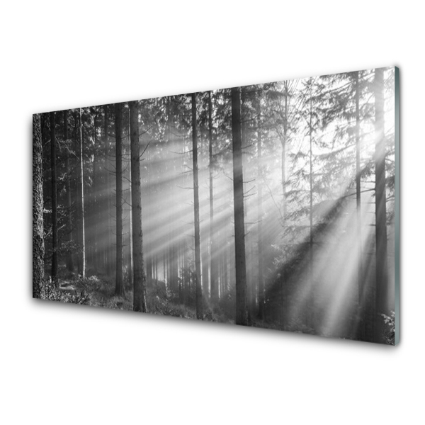 Transparenţă Raze De Pădure Alb-Negru