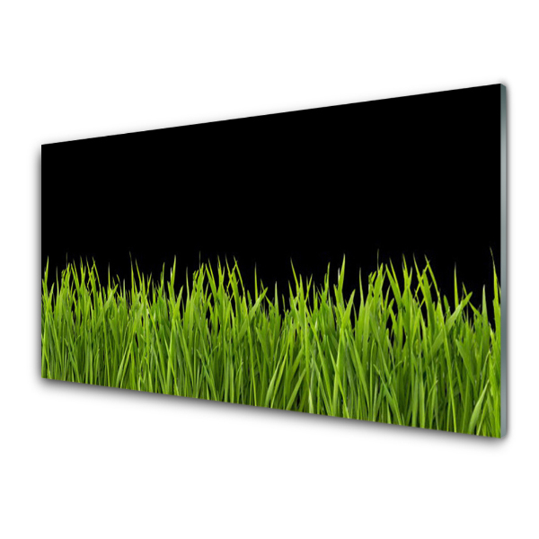Transparenţă Iarbă Verde Fundal Negru