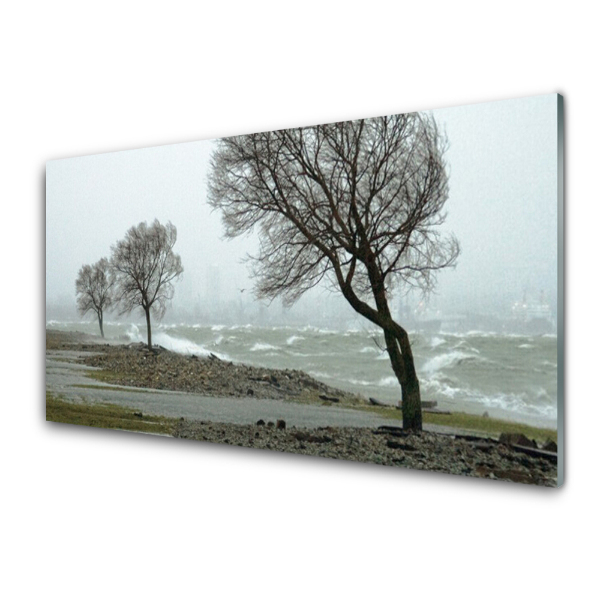 Transparenţă Copacii Se Inundă