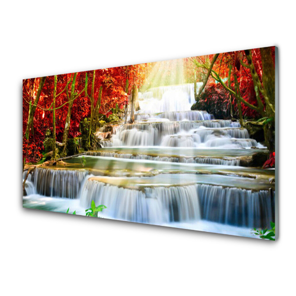 Transparenţă Cascada Natura Pădure De Toamnă