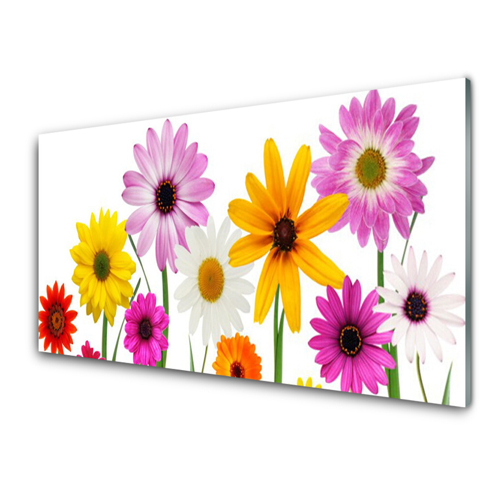 Transparenţă Flori Colorate Natura