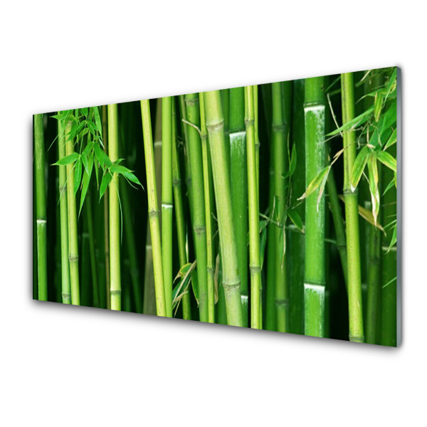 Transparenţă Bamboo Forest Bamboo Nature