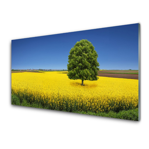 Transparenţă Câmp De Rapiță Și Copac Verde