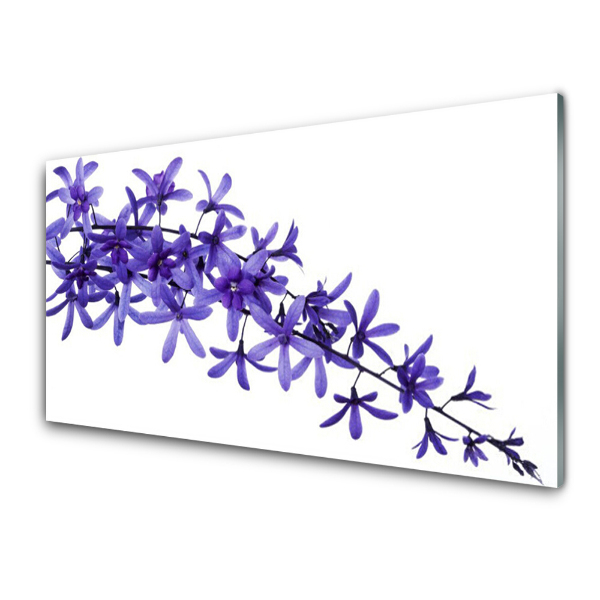 Transparenţă Natura Flori Violet Plante