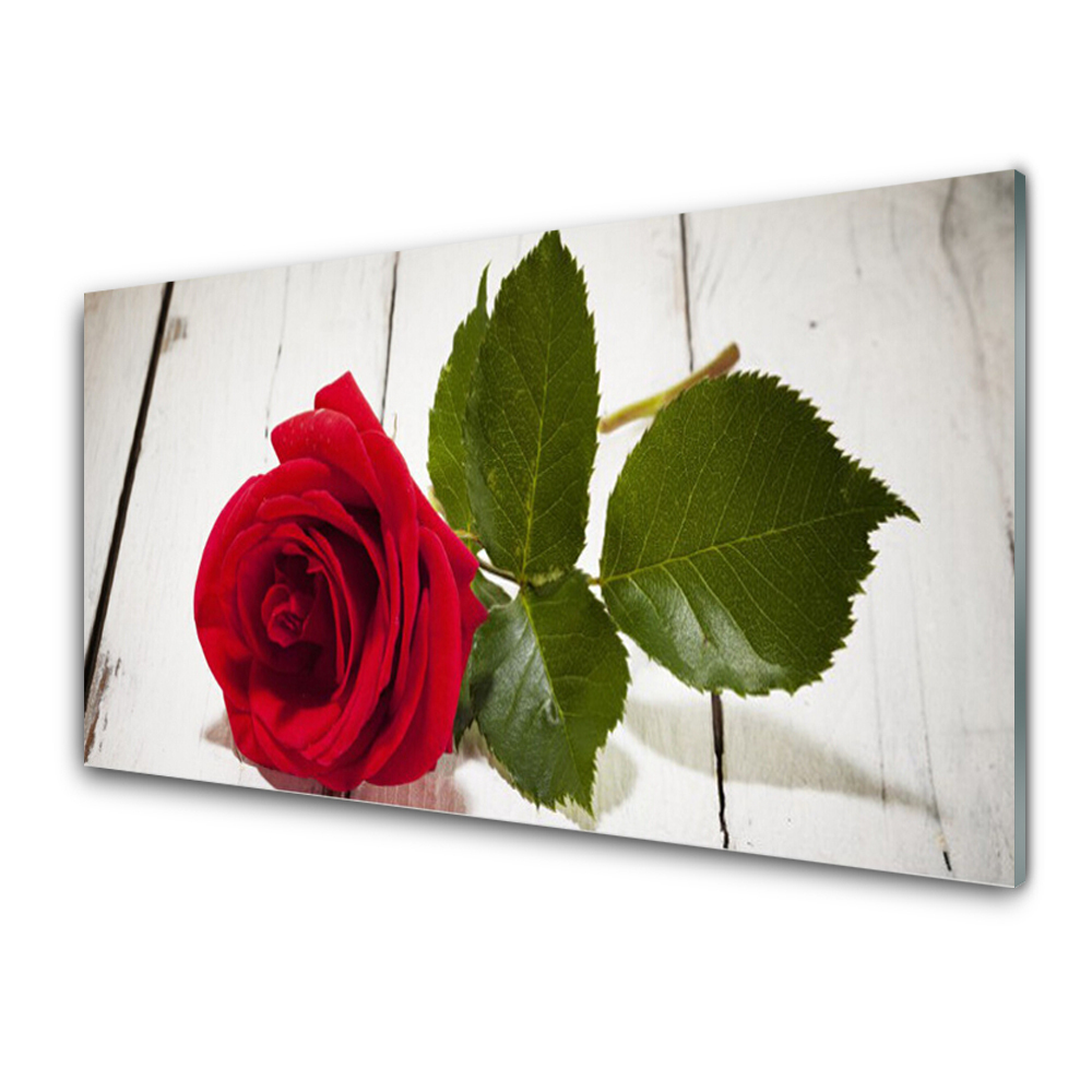 Transparenţă Plante De Natură Cu Flori De Trandafir