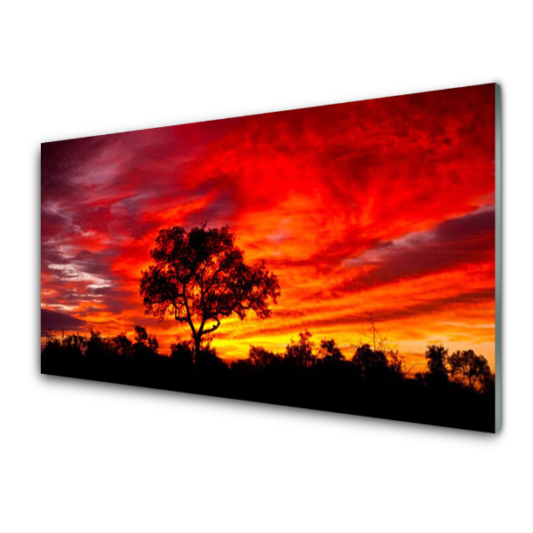 Transparenţă Peisaj De Pădure Red Sky Tree