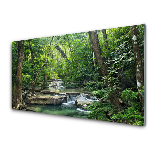 Transparenţă Cascade Pe Apă În Pădure