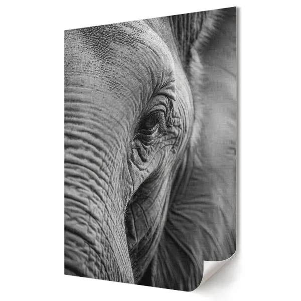 Tablou canvas Grafica murală Aproape de măreția elefantului