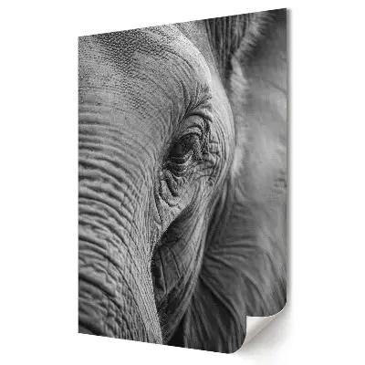Tablou canvas Grafica murală Aproape de măreția elefantului