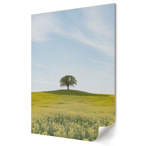 Poster de perete Un copac singuratic pe un deal verde