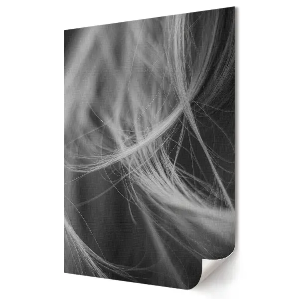 Tablou canvas Delicatesa părului alb-negru
