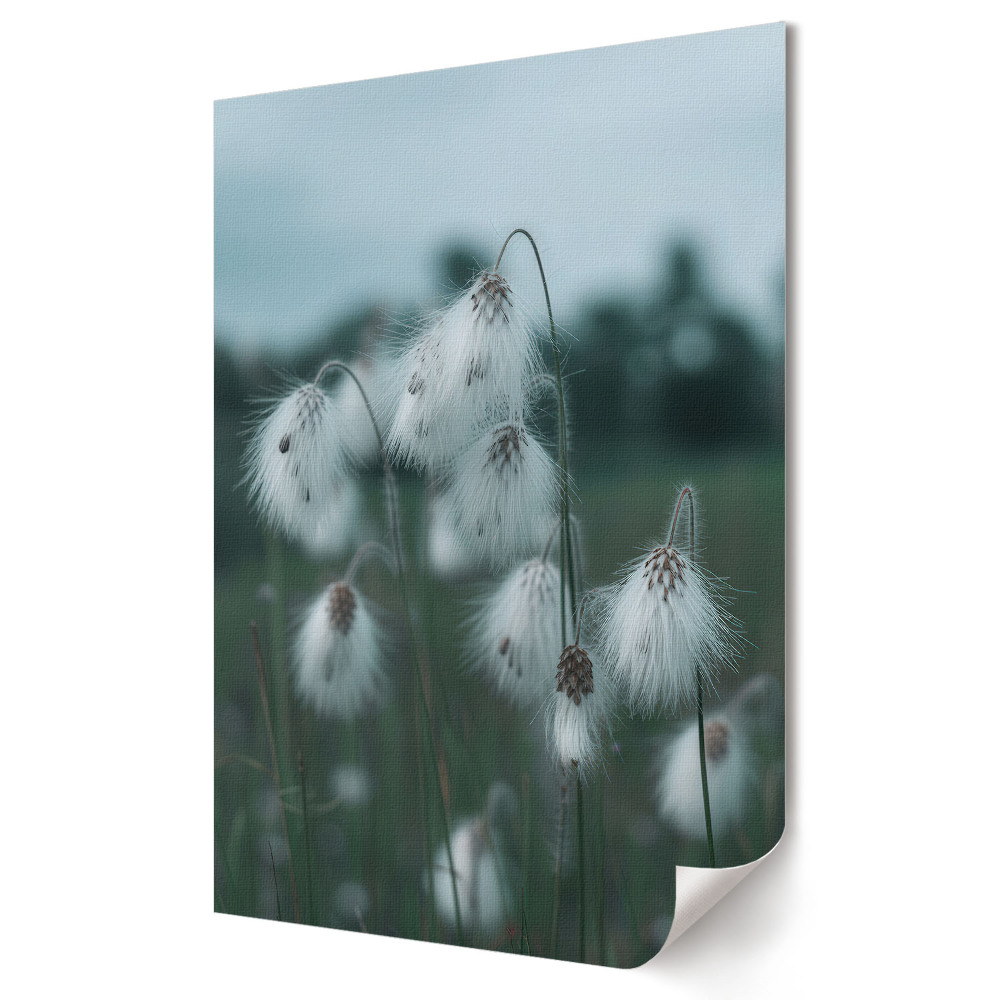 Poster decorativ Flori delicate în haine de iarnă
