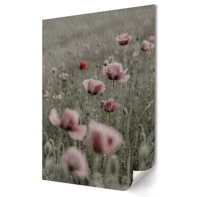 Poster decorativ Câmpuri delicate de mac în gri