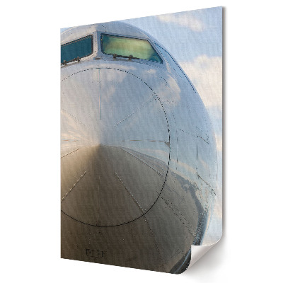 Grafică murală pe pânză Prim-plan al unui avion în zbor