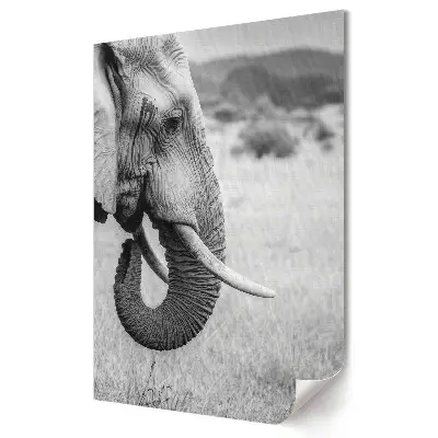 Poster decorativ cu elefant în stil monocrom