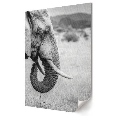 Poster decorativ Puterea și frumusețea unui elefant în monocrom